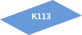 K113